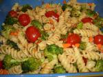 Indian Naughty Curry Pasta Salad Appetizer