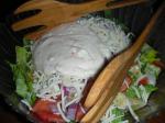 Italian Cheesy Italian House Salad With Parmesan Dressing Appetizer