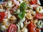 Italian Ravioli Gorgonzola Easy and Good Appetizer