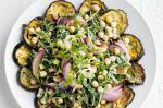British Eggplant Salad With Harissa Yoghurt Recipe Appetizer