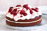 American Halfthefat Chocolate Cake With Raspberries Recipe Dessert