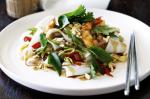 Thai Drunken Noodles Recipe 1 Appetizer