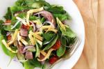 Thai Thai Beef Salad Recipe 20 Appetizer