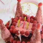 Canadian The Birthday Cake Fairies or Princesses of Emma Dessert