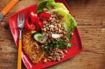 Thai Thai Pork Salad With Rice Cake Recipe Appetizer