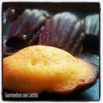American Madeleines Lemon in Hull Black Chocolate Without Lactose Dessert