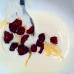 American Natural Yoghurt with Agave and Dried Cranberries Dessert
