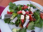 American Tasty Greek Salad Appetizer