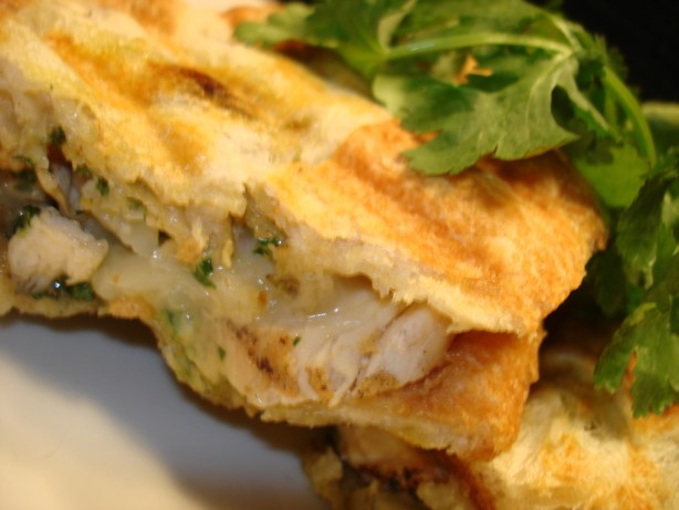 American Southwestern Chicken Panini Appetizer