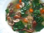 British Chicken Spinach  Shiitake Mushroom Soup Appetizer