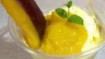 Cuban Mango Mousse Recipe Appetizer