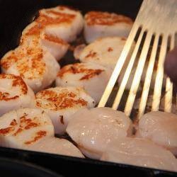 American Scallops in Plate Appetizer