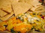 British Yummy  Cheese Spinach Dip Appetizer