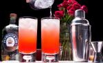 American Pink Gin Fizz Recipe Drink
