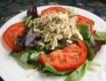 American Tuna Salad sicilian Style Appetizer