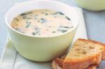 American Egg And Lemon Soup Recipe Appetizer