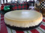 American Kittencals Cheesecake Dessert