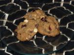 American Cranberry Doublechip Cookies Dessert