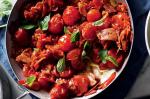 American Cherry Tomato And Pancetta Sauce Recipe Appetizer