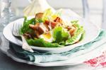 American Hotsmoked Trout Caesar Salad Recipe Dinner