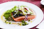 American Salmon With Pea Mash And Fennel Salad Recipe Appetizer