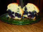 American Whole Grain Blueberry Muffins Dessert