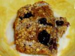 American Healthy Lowfat Baked Berry and Fruit Oatmeal Dessert
