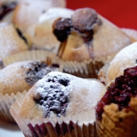 American Blackberry Muffins Dessert