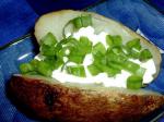 American Scrumptious Baked Potatoes Appetizer