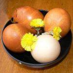 Australian Easter Eggs Dyed Appetizer