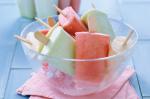 Australian Melon Paddlepops Recipe Dessert