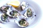 Australian Oysters With Gremolata Salt Recipe Appetizer