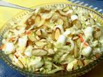 American Fruit and Mallow Coleslaw Appetizer