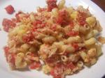 American Tomato Macaroni and Cheese 3 Appetizer