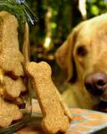 American Special Occasion Dog Bones  Biscuits Dessert