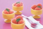 American Peach Julep Sorbet Recipe Dessert
