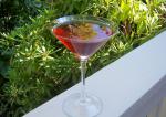 American Lindas Blueberrypomegranate Martini Appetizer