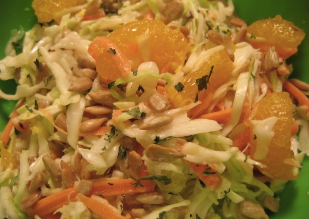 American Sunflower Fruit Cole Slaw Appetizer