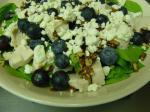 American Blueberry Spinach Salad With Chicken Pecans and Bleu Cheese Appetizer