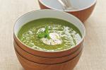 Australian Minted Pea Soup Recipe 1 Appetizer