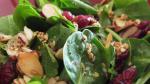 Australian Jamies Cranberry Spinach Salad Recipe Appetizer