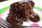 Microwave Chocolate Snack Cake recipe
