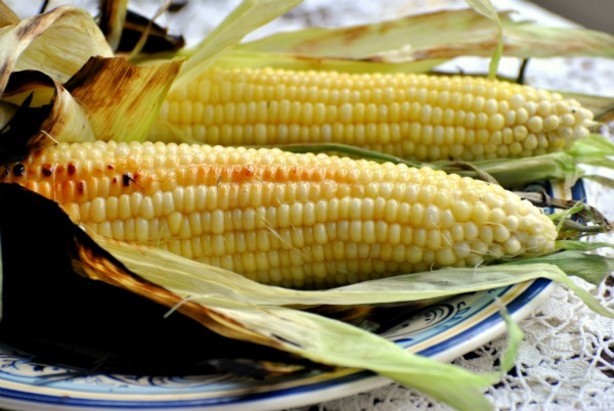 American Grilled Fresh Sweet Corn on the Cob in Husks BBQ Grill