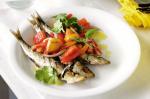 Portuguese Saltgrilled Sardines With Portuguese Salad Recipe Appetizer