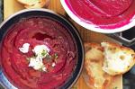American Roasted Beetroot Soup Recipe Appetizer