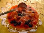 American Rhuberry Compote Dessert