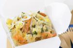 American Smoked Salmon Pasta Salad Recipe 1 Appetizer