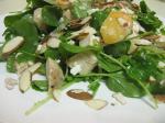 American Chicken and Watercress Salad With Almonds and Feta Appetizer