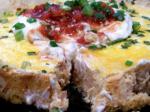 American Tex Mex Cheese Cake Appetizer