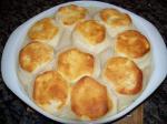 Australian Grandma Browns Chicken Pie with Biscuit Topping Appetizer